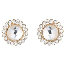 Load image into Gallery viewer, Multicolor Crystal  Earrings