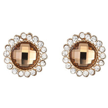 Load image into Gallery viewer, Multicolor Crystal  Earrings
