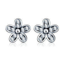 Load image into Gallery viewer, Silver Color Earrings
